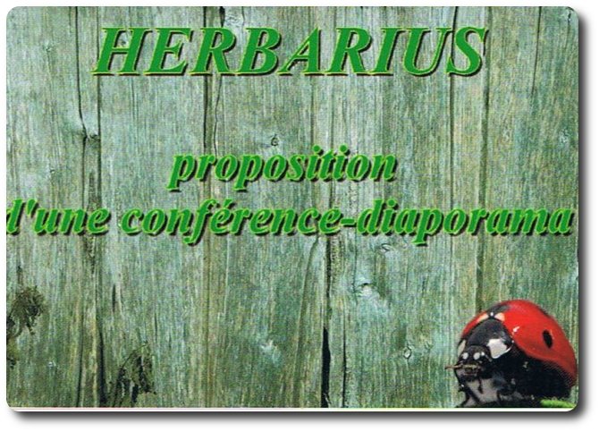 Conférences au jardin Herbarius